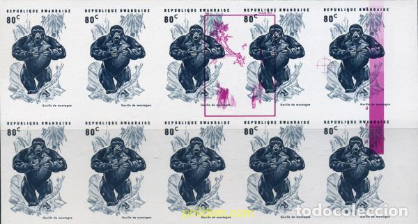 Sellos: 221459 MNH RUANDA 1970 GORILAS