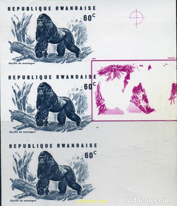 Sellos: 221460 MNH RUANDA 1970 GORILAS