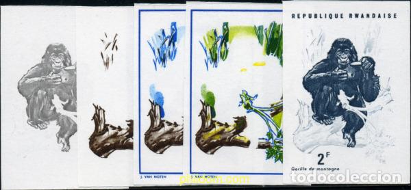 Sellos: 221491 MNH RUANDA 1970 GORILAS