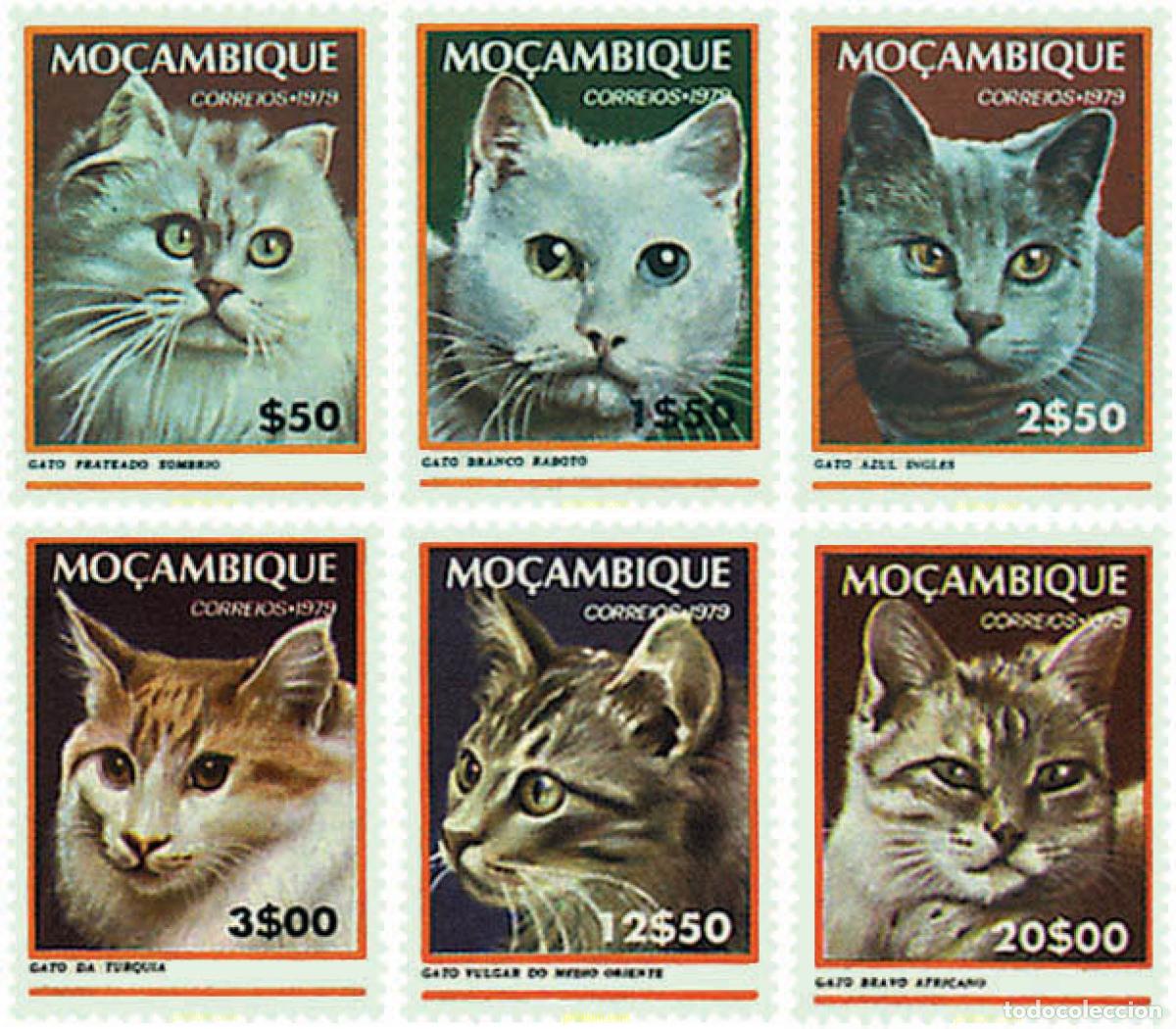Sellos: 39000 MNH MOZAMBIQUE 1979 GATOS
