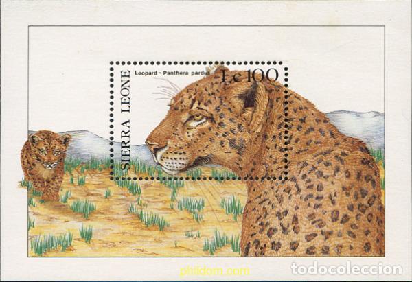 Sellos: 361961 MNH SIERRA LEONA 1987 FAUNA AFRICANA