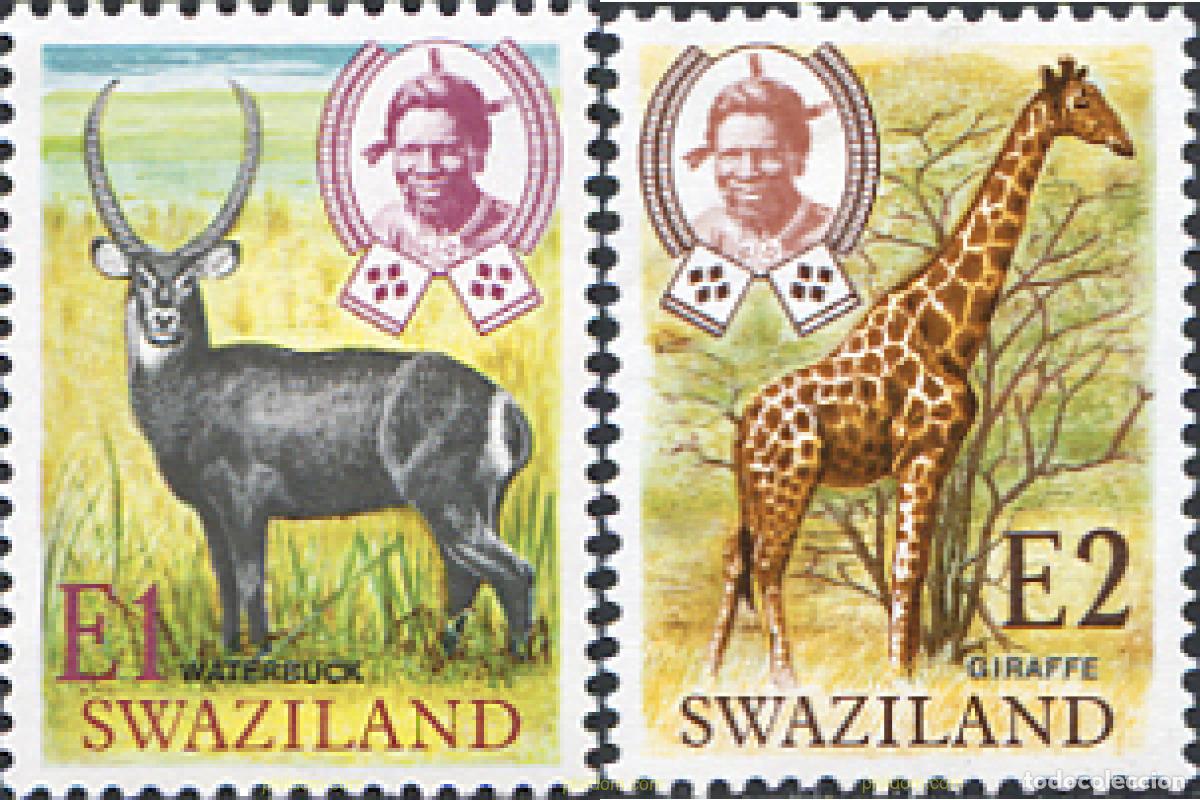 Sellos: 29625 MNH SWAZILANDIA 1975 SERIE BASICA
