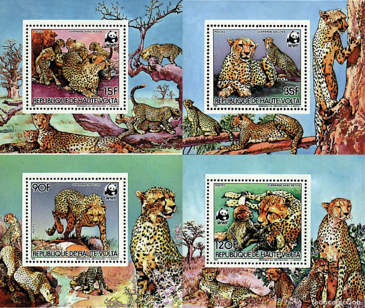 Sellos: 117940 MNH ALTO VOLTA 1984 GUEPARDO
