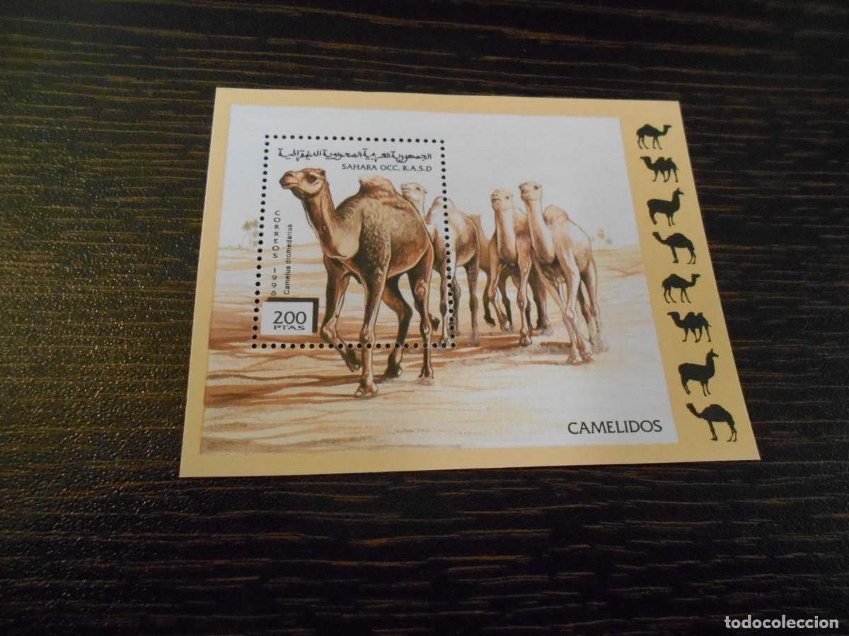 Sellos: SAHARA OCCIDENTAL-RASD-HOJA BLOQUE 1996-DROMEDARIO