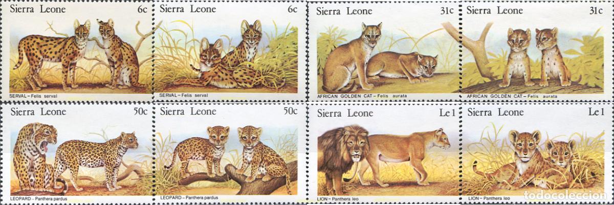 Sellos: 30107 MNH SIERRA LEONA 1981 FELINOS Y SUS CRIAS.