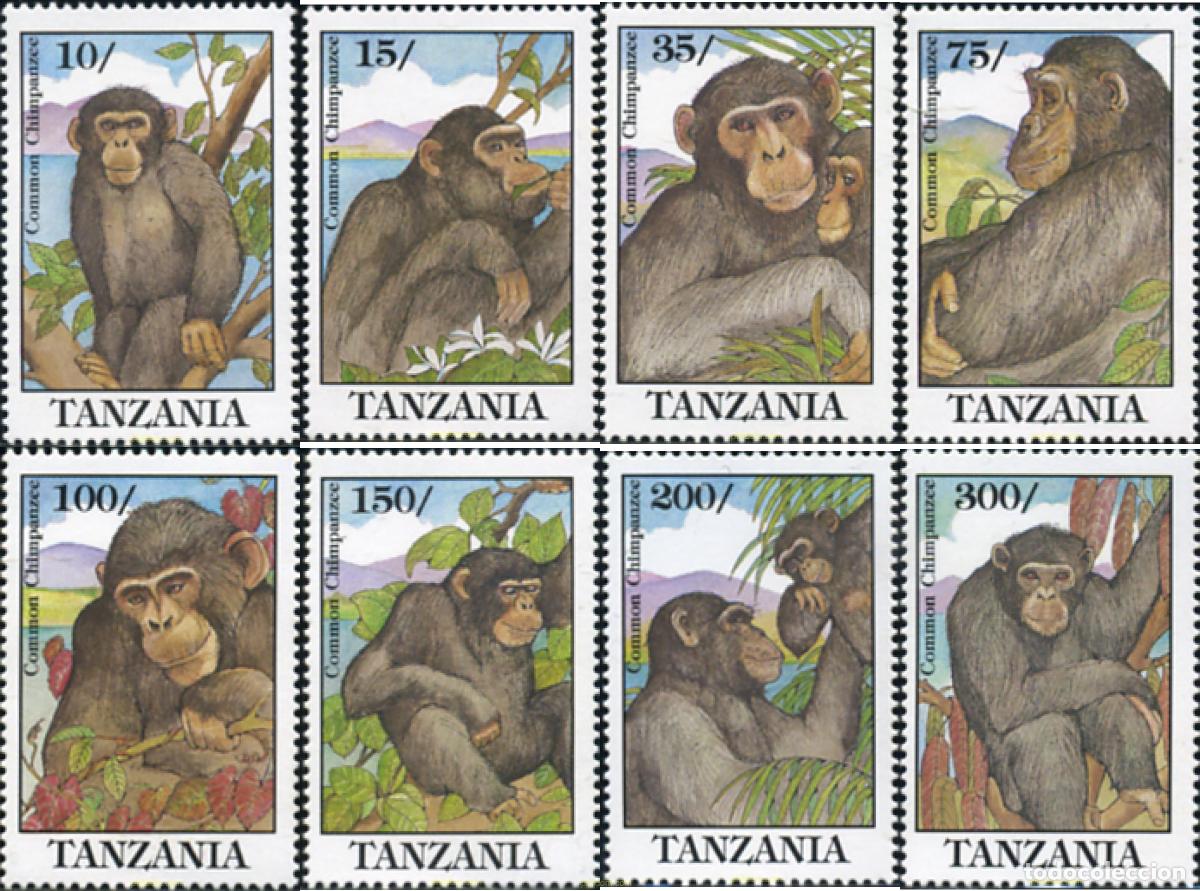 Sellos: 68531 MNH TANZANIA 1992 EL CHIMPANCE