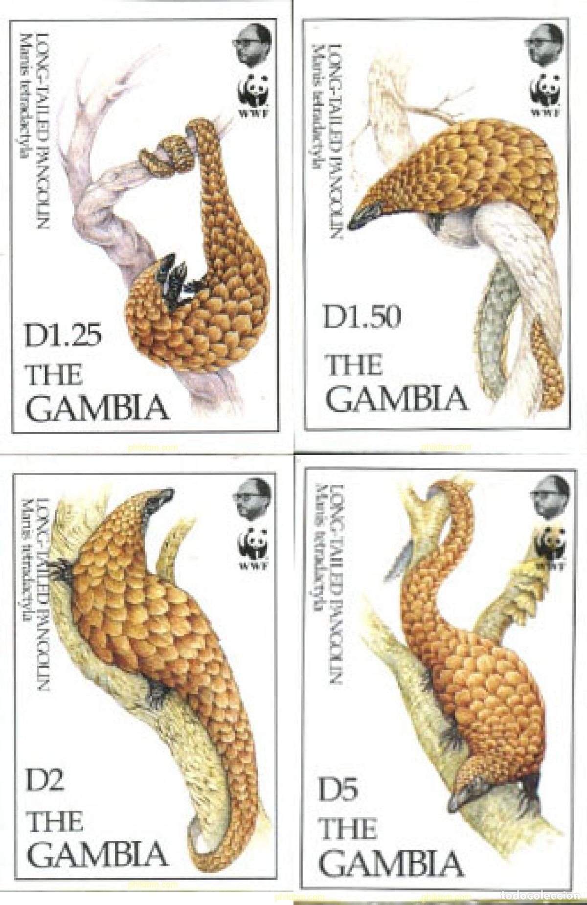 Sellos: 14986 MNH GAMBIA 1993 PANGOLIN DE COLA LARGA