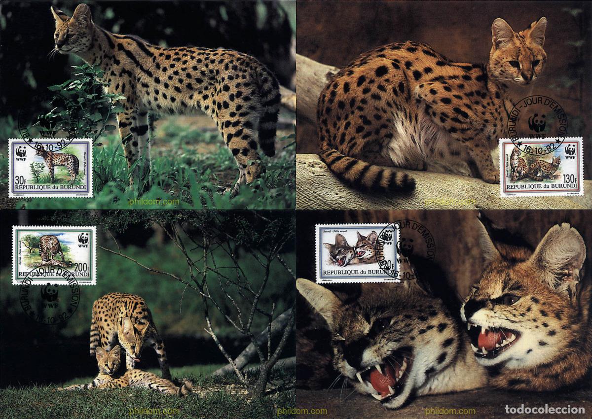 Sellos: 7576 MNH BURUNDI 1992 SERVAL