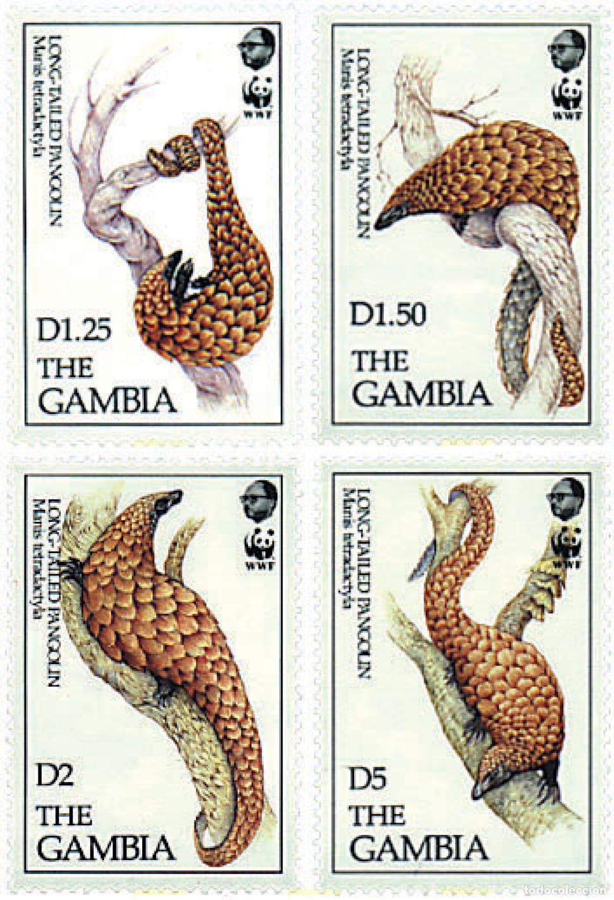 Sellos: 74108 MNH GAMBIA 1993 PANGOLIN DE COLA LARGA