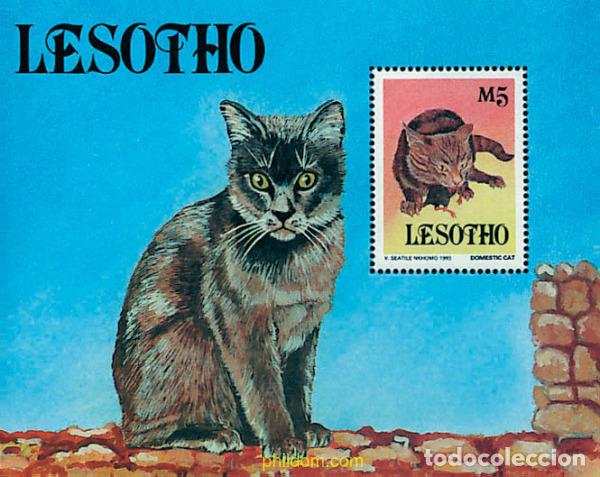 Sellos: 37278 MNH LESOTHO 1993 GATOS DOMESTICOS