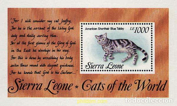Sellos: 362162 MNH SIERRA LEONA 1993 GATOS DEL MUNDO