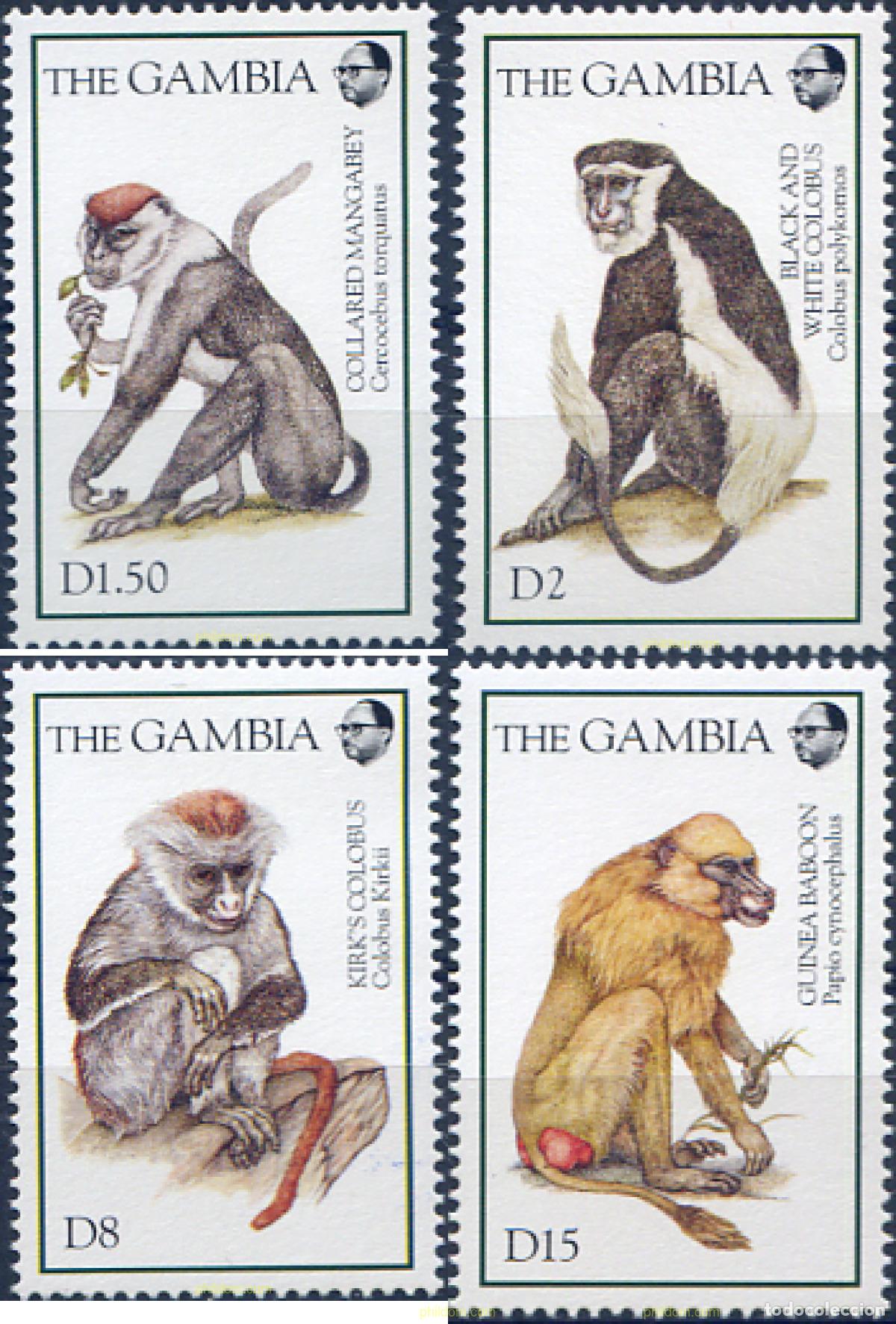 Sellos: 316964 MNH GAMBIA 1994 MONOS