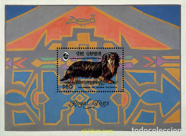 Sellos: 316900 MNH GAMBIA 1993 PERROS DE RAZA
