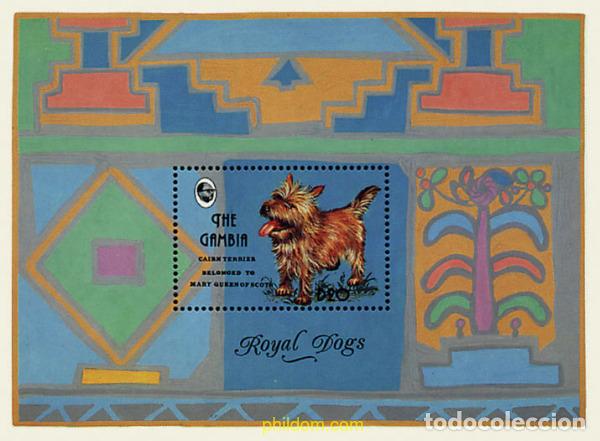 Sellos: 316901 MNH GAMBIA 1993 PERROS DE RAZA