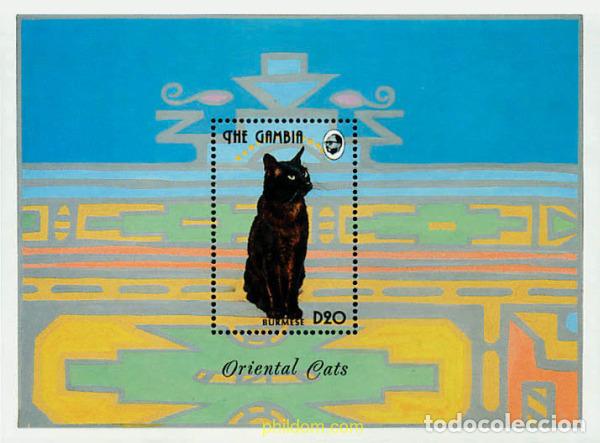 Sellos: 253903 MNH GAMBIA 1993 GATOS ORIENTALES