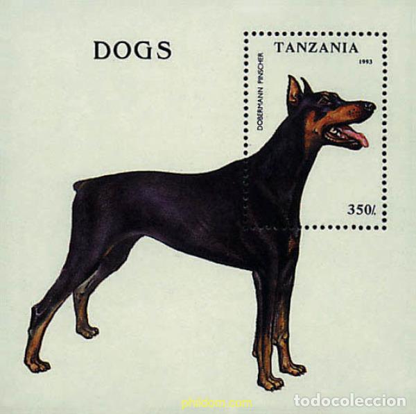 Sellos: 46840 MNH TANZANIA 1993 PERROS DE RAZA
