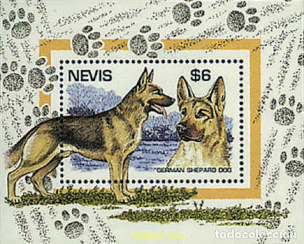 Sellos: 347428 MNH NEVIS 1995 PERROS DE RAZA