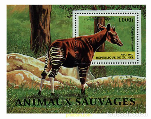 Sellos: 74371 MNH GUINEA 1997 MAMIFEROS