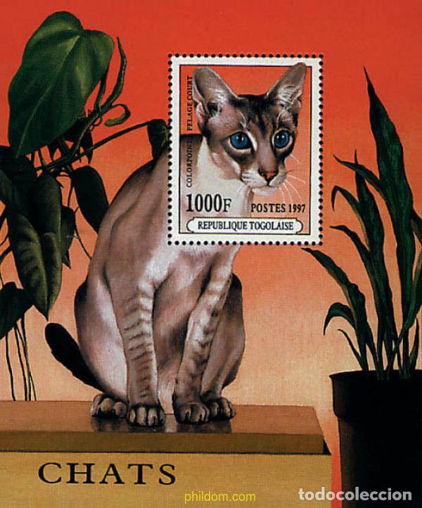 Sellos: 69805 MNH TOGO 1997 GATOS