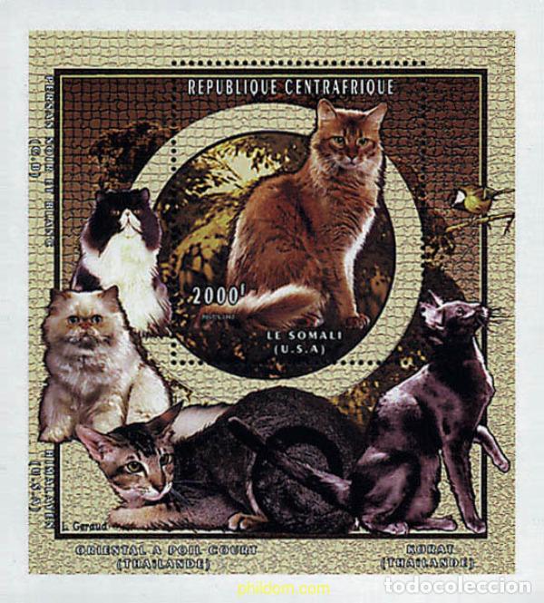 Sellos: 50693 MNH CENTROAFRICANA 1998 GATOS