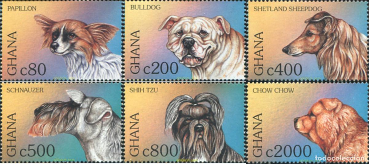 Sellos: 589481 MNH GHANA 1997 GATOS Y PERROS DEL MUNDO