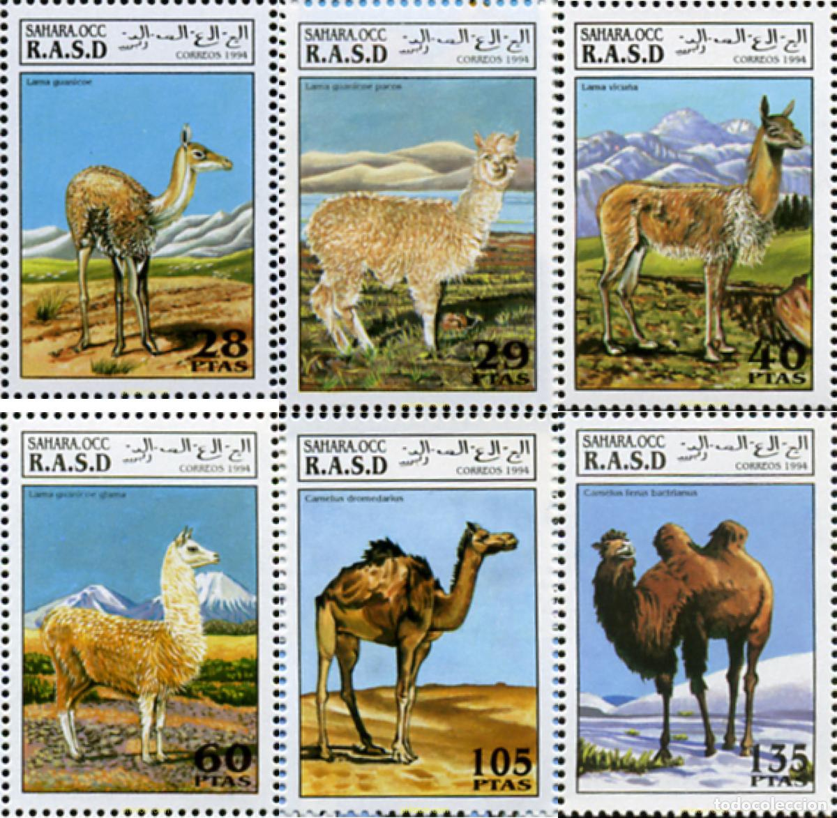 Sellos: 239352 MNH REPUBLICA ARABE SAHAURI DEMOCRATICA 1994 MAMIFEROS