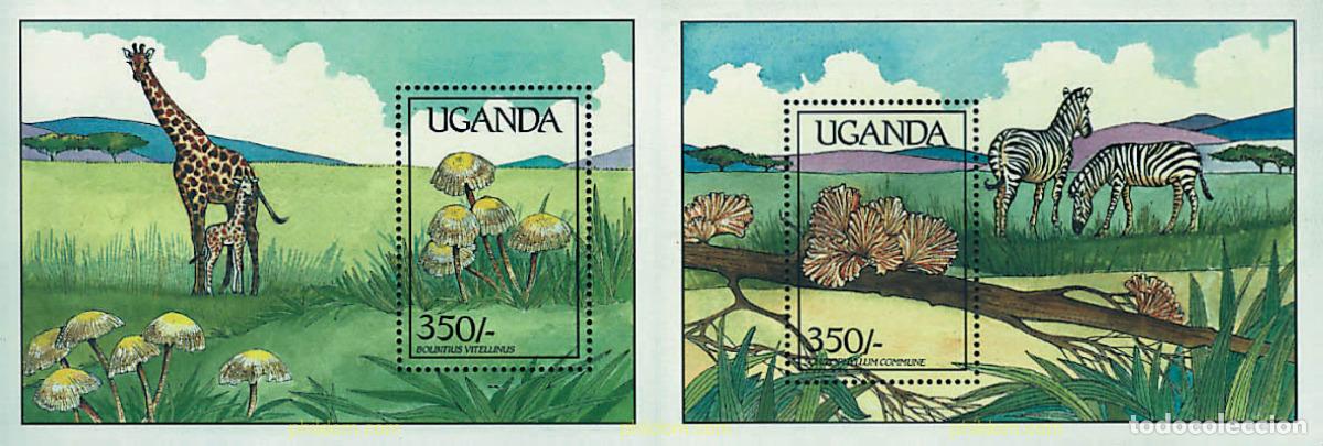 Sellos: 54019 MNH UGANDA 1989 SETAS
