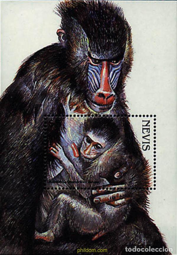 Sellos: 347548 MNH NEVIS 1998 MAMIFEROS