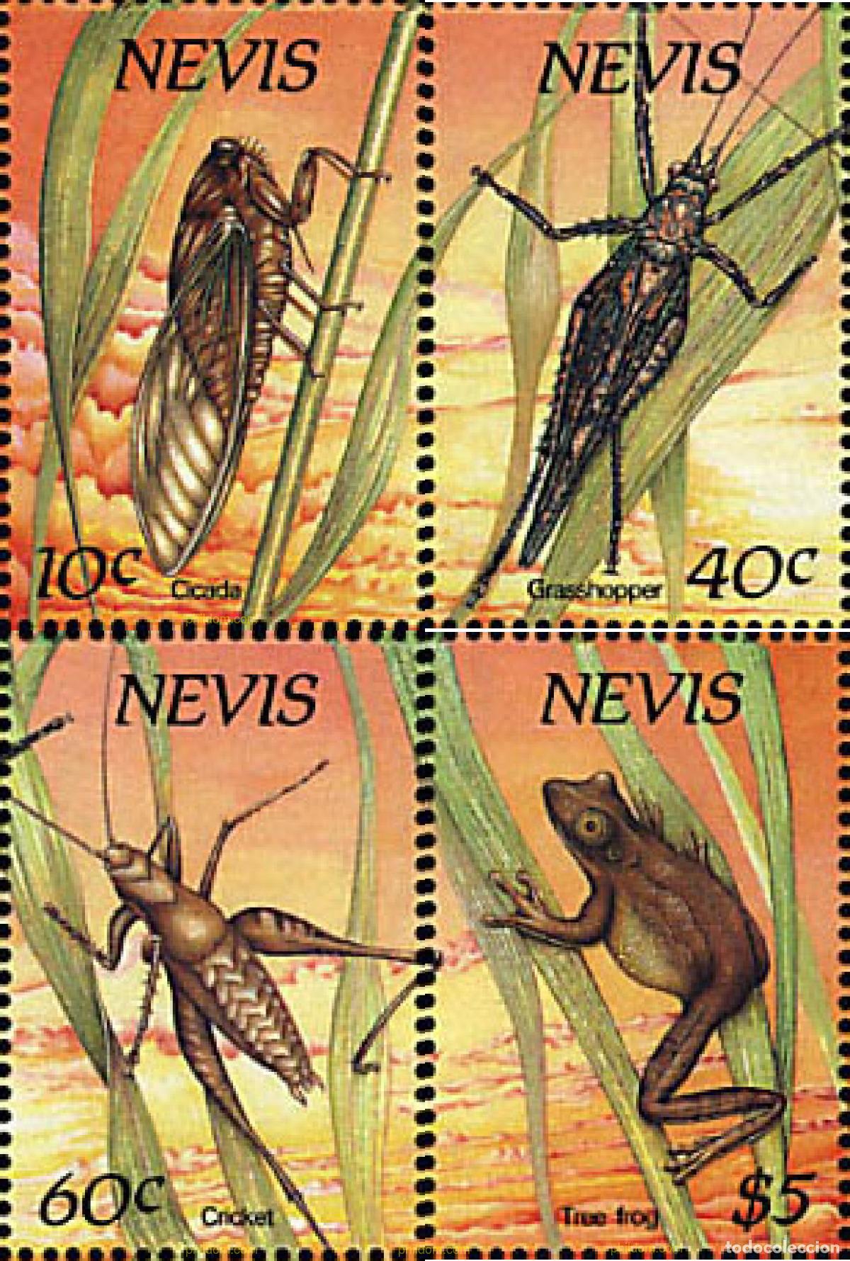 Sellos: 36719 MNH NEVIS 1989 INSECTOS NOCTURNOS