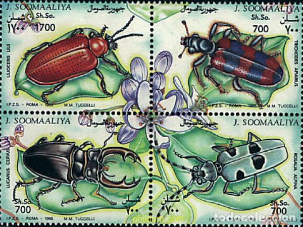 Sellos: 363283 MNH SOMALIA 1995 INSECTOS