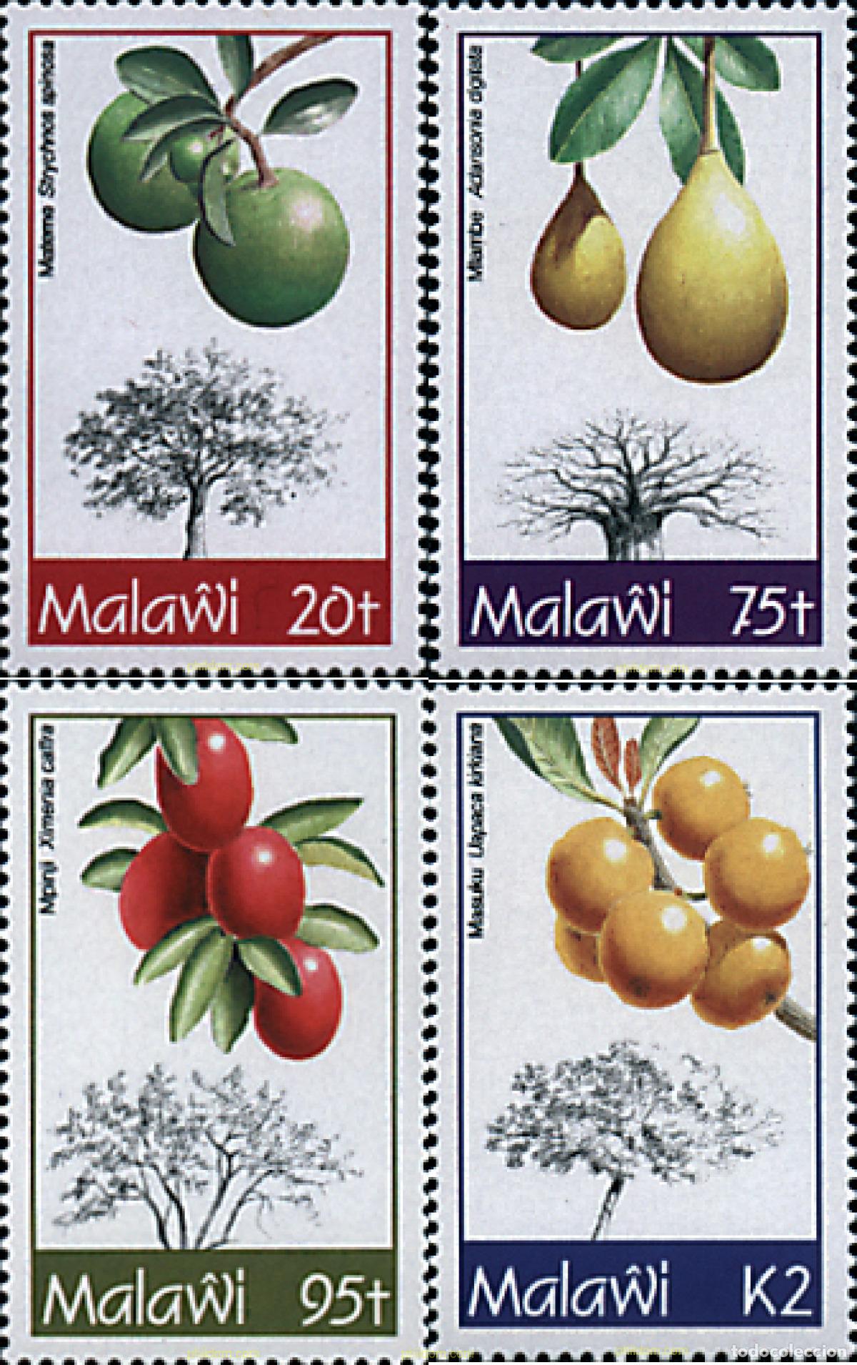Sellos: 37944 MNH MALAWI 1993 FRUTAS