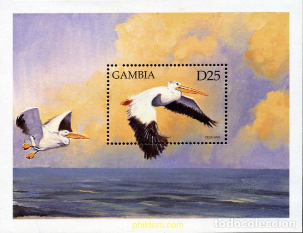 Sellos: 317068 MNH GAMBIA 1999 AVES MARINAS