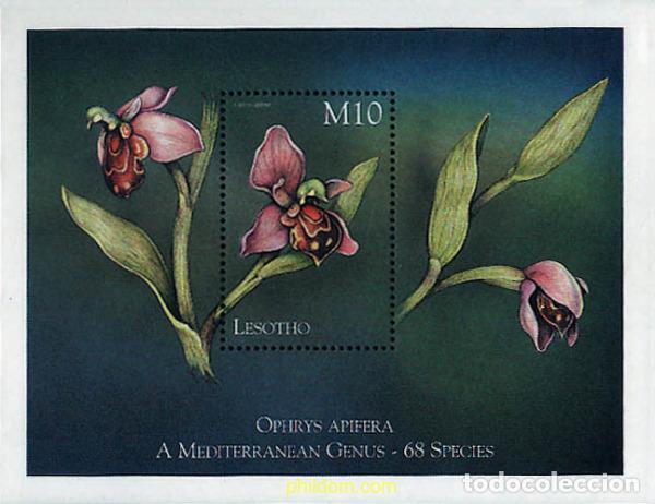 Sellos: 337974 MNH LESOTHO 1999 ORQUIDEAS