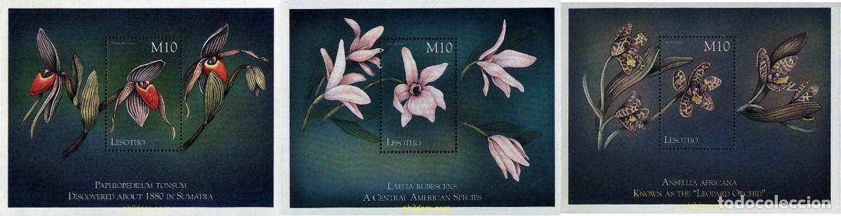Sellos: 337975 MNH LESOTHO 1999 ORQUIDEAS