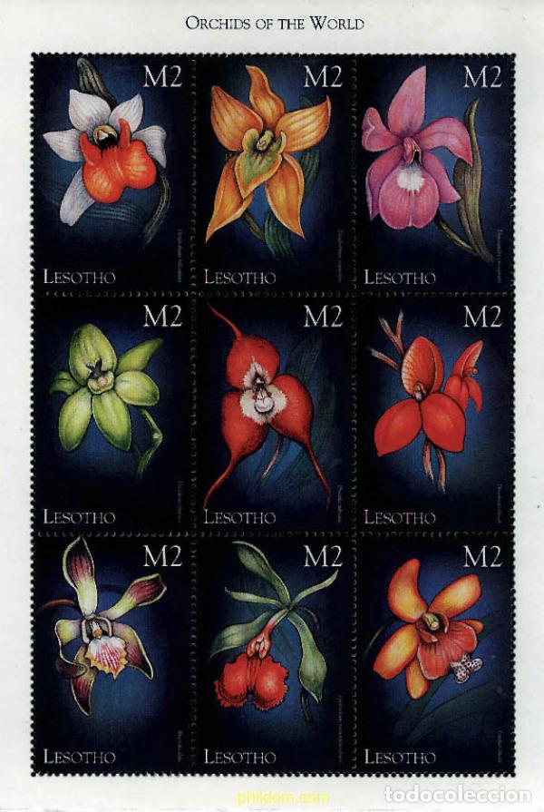 Sellos: 254872 MNH LESOTHO 1999 ORQUIDEAS