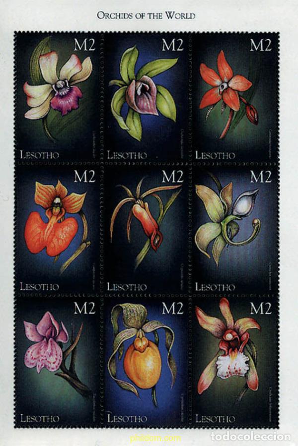Sellos: 337973 MNH LESOTHO 1999 ORQUIDEAS