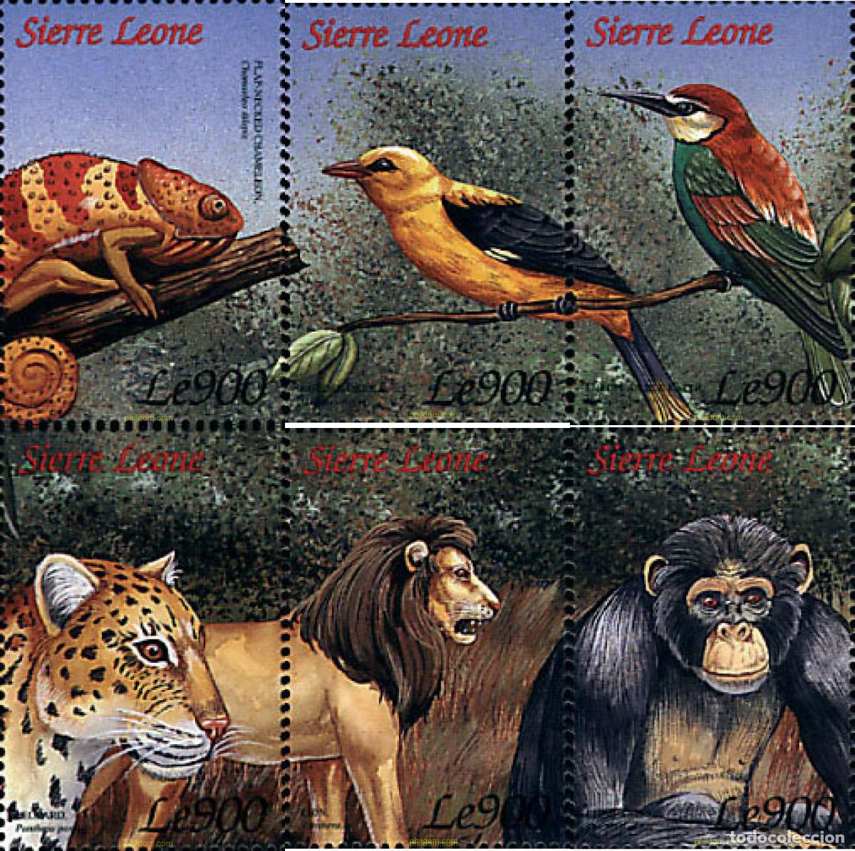 Sellos: 362302 MNH SIERRA LEONA 1999 FAUNA SALVAJE