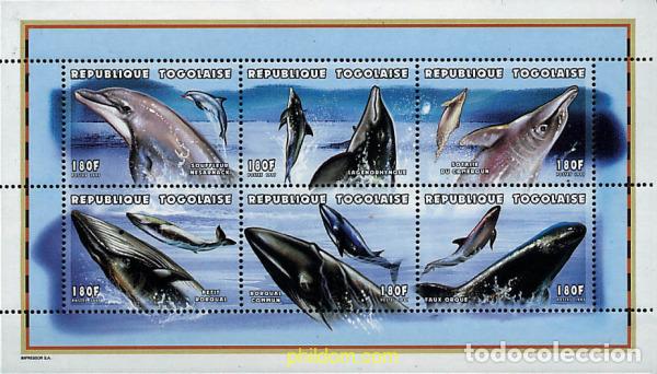Sellos: 237232 MNH TOGO 1997 90 ANIVERSARIO DE LA ORGANIZACION INTERNACIONAL DE LA HISTORIA NATURAL