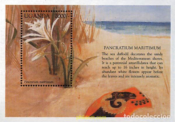 Sellos: 296896 MNH UGANDA 1998 FLORES MEDITERRANEAS