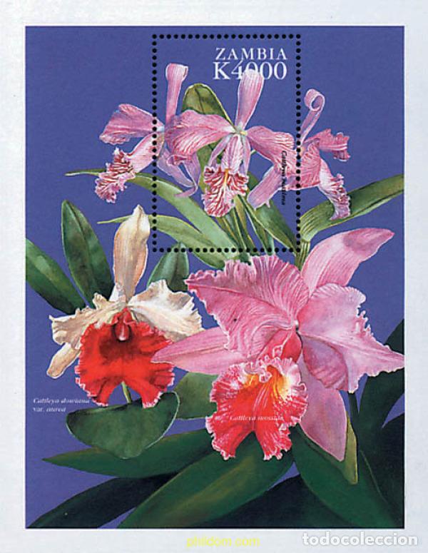 Sellos: 286824 MNH ZAMBIA 1999 ORQUIDEAS