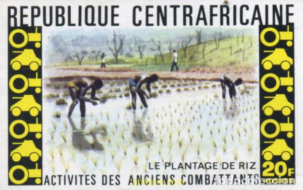 Sellos: 207350 MNH CENTROAFRICANA 1974 ACTIVIDADES DE LOS ANTIGUOS COMBATIENTES