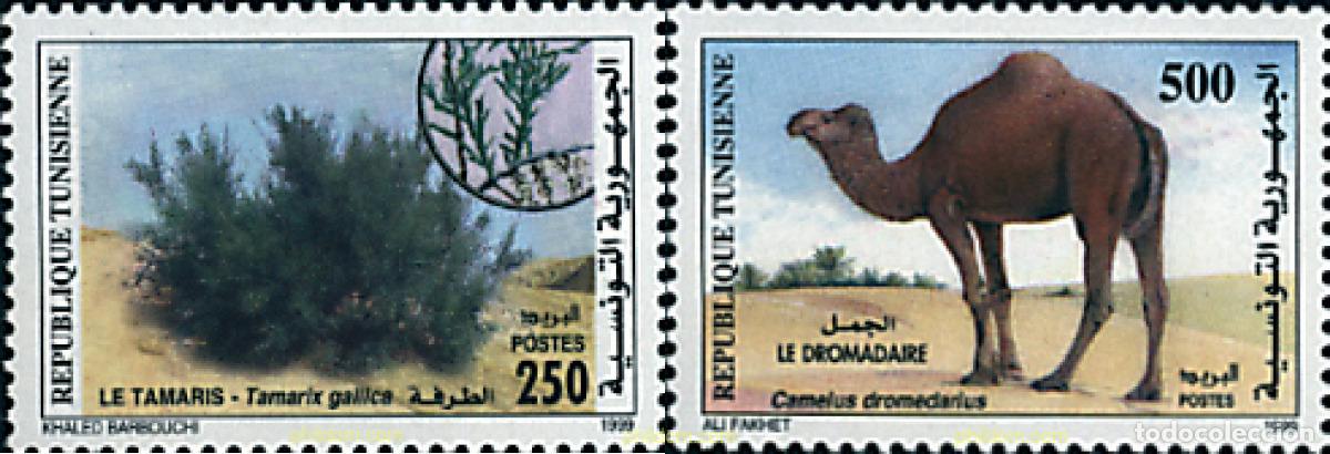 Sellos: 92349 MNH TUNEZ 1999 FLORA Y FAUNA