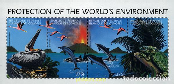 Sellos: 587057 MNH COMORES 1999 FAUNA