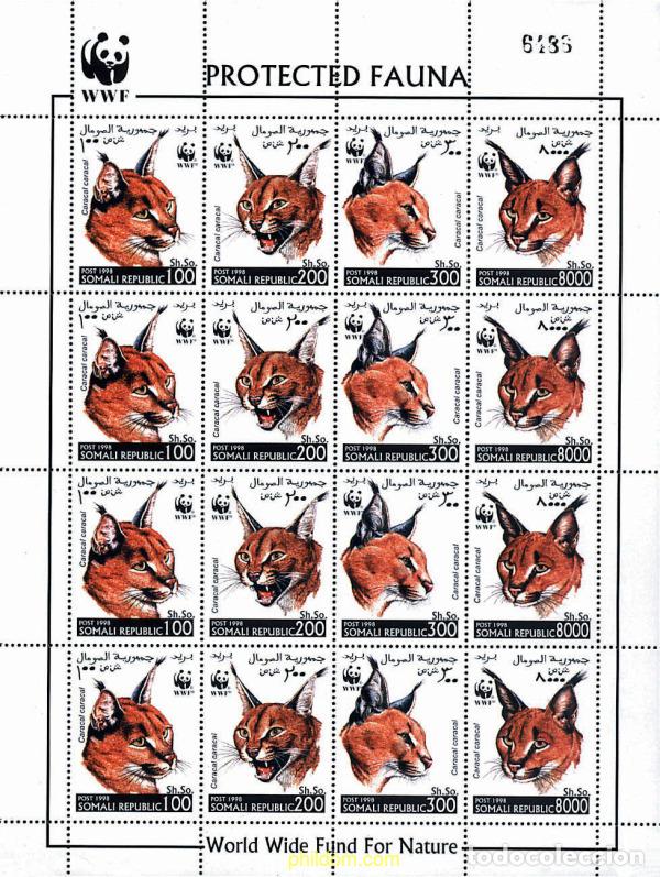 Sellos: 12691 MNH SOMALIA. Rep&uacute;blica 1998 CARACAL