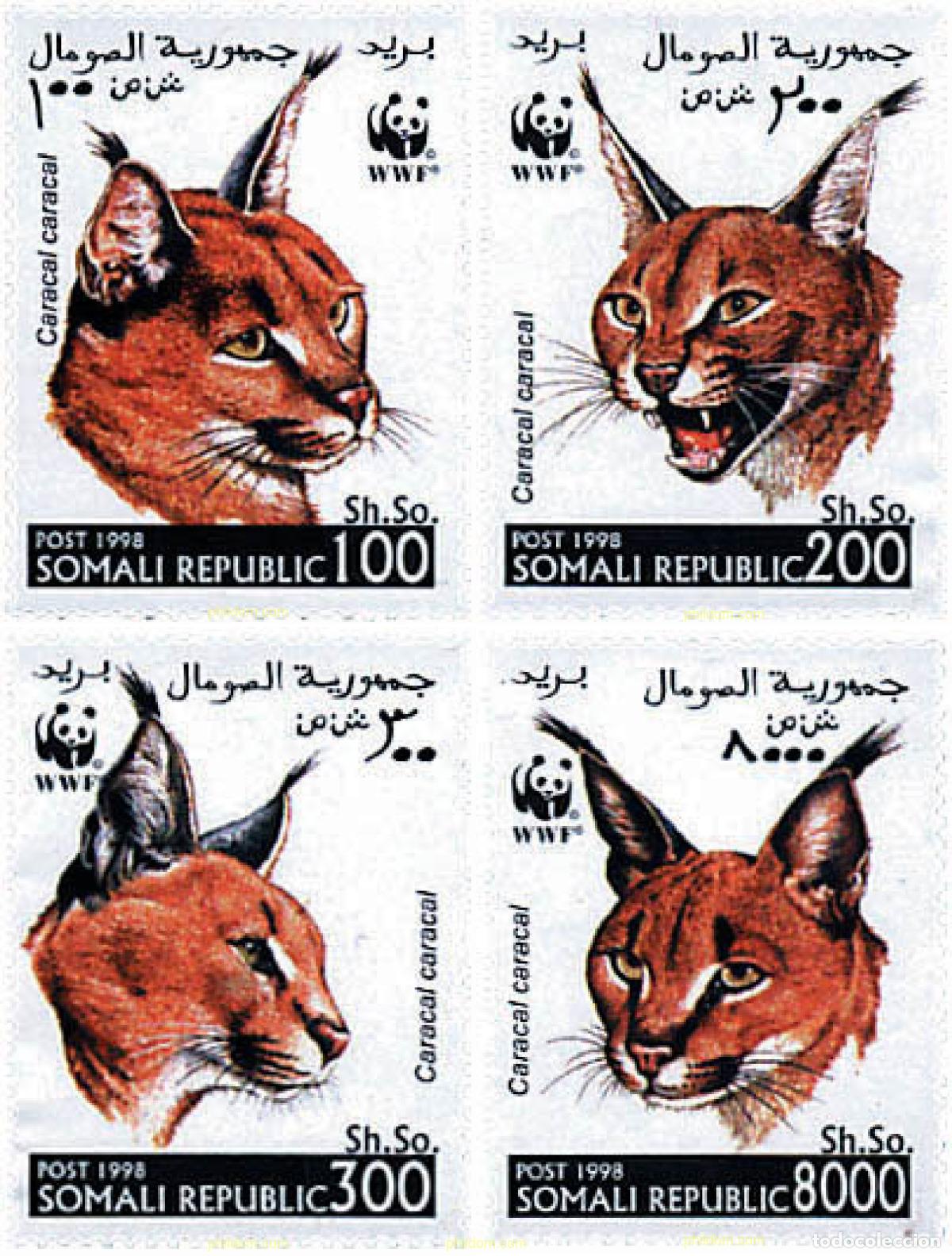 Sellos: 74196 MNH SOMALIA. Rep&uacute;blica 1998 CARACAL