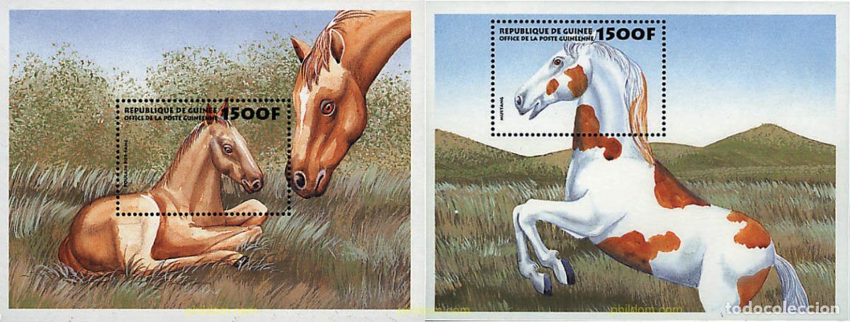 Sellos: 76387 MNH GUINEA 1999 CABALLOS