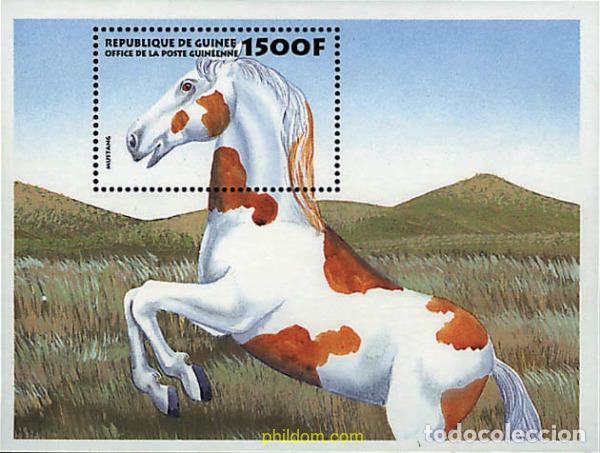 Sellos: 323725 MNH GUINEA 1999 CABALLOS