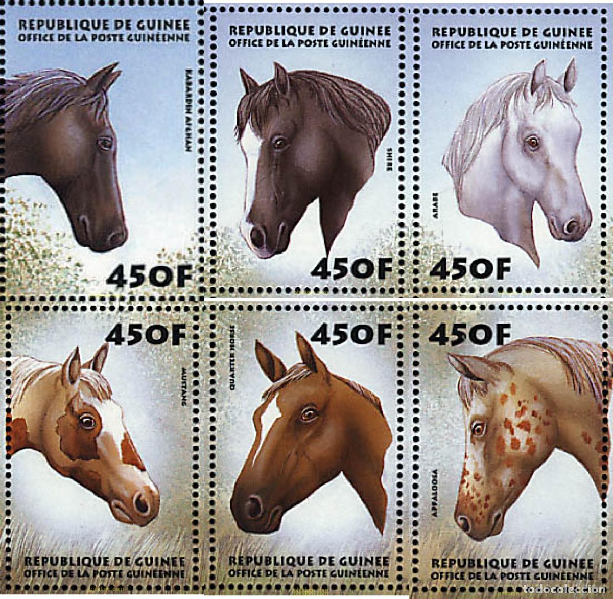 Sellos: 76385 MNH GUINEA 1999 CABALLOS