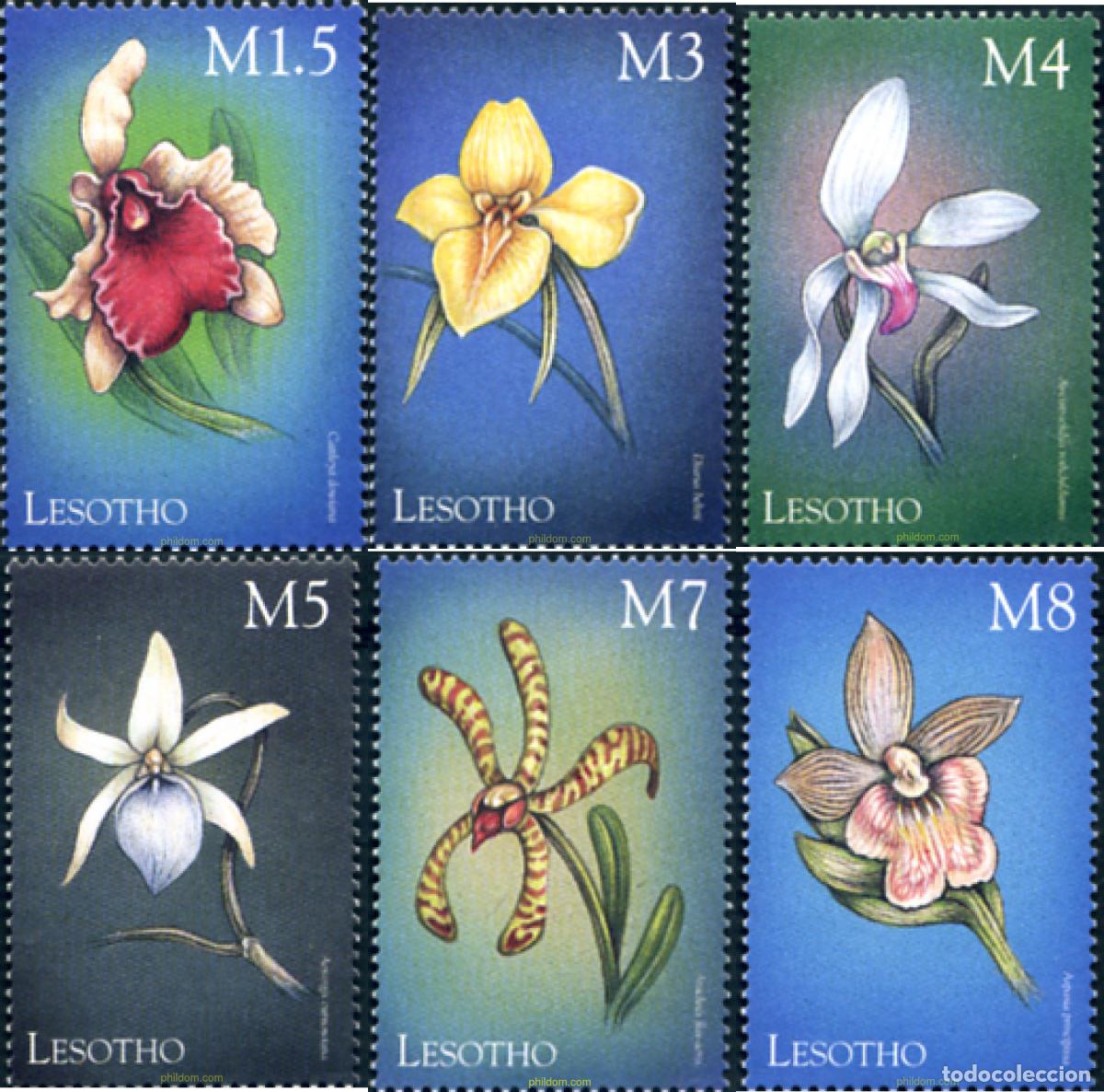 Sellos: 95971 MNH LESOTHO 1999 ORQUIDEAS