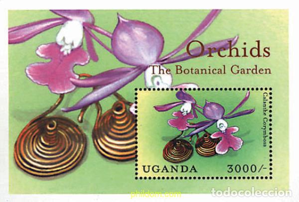 Sellos: 255412 MNH UGANDA 2000 ORQUIDEAS DE UGANDA